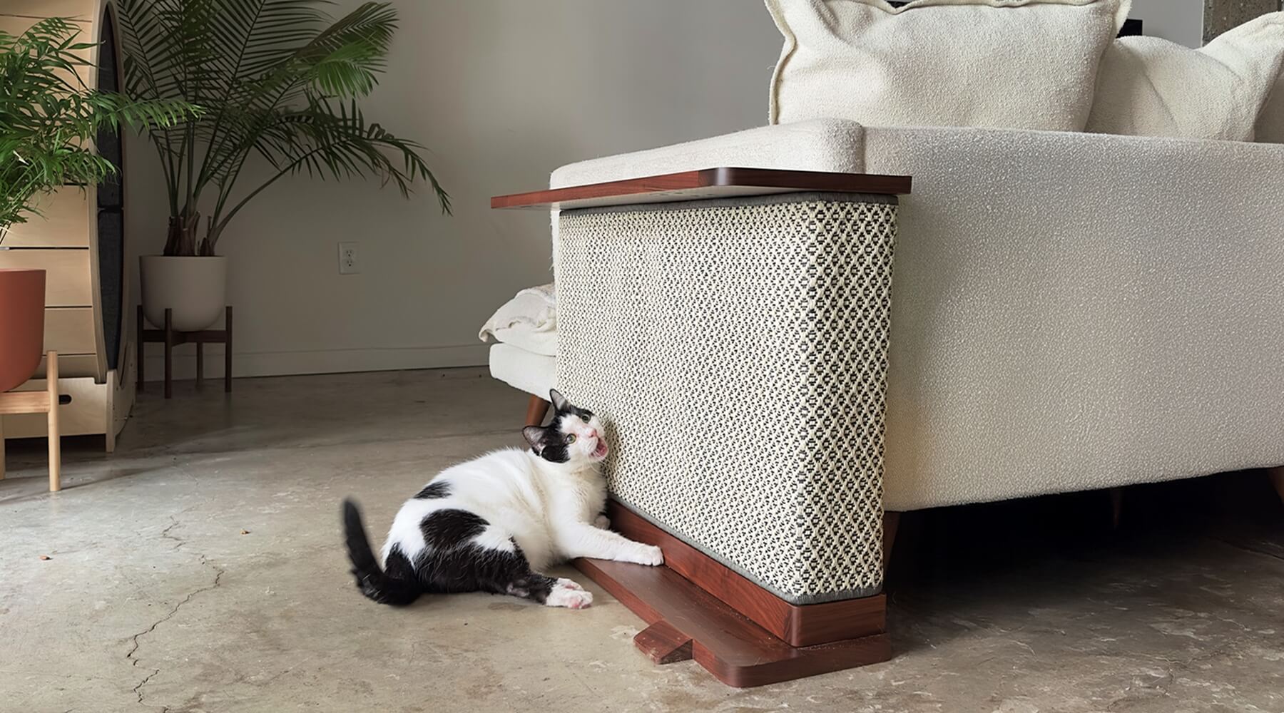 A black and white cat enthusiastically scratches a Cat-e-Corner, demonstrating what type of scratcher your cat likes.