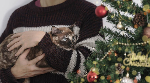 A person wearing a striped sweater is holding a cat in their arms in front of a decorated Christmas tree